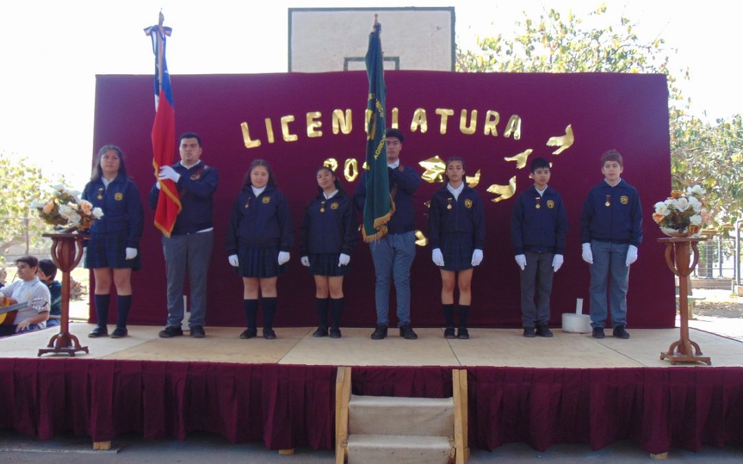 Licenciatura 2019
